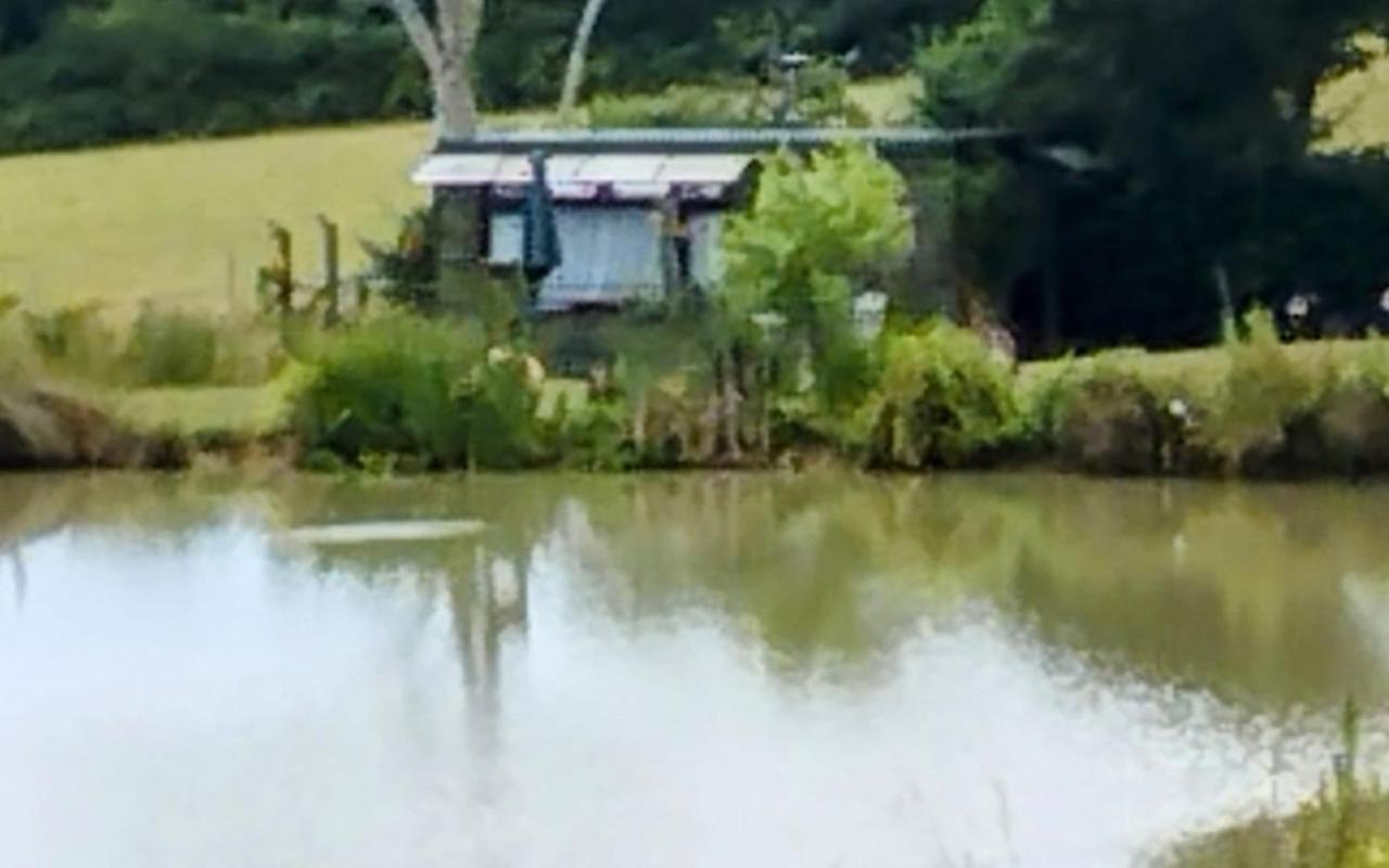 Peaceful Ensuite Lakeside Cabin 'Tench' Hadlow Down Eksteriør bilde